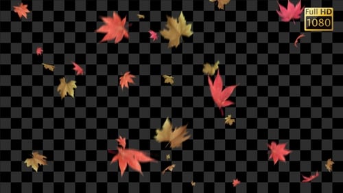 Falling Autumn Leaves Seamless Loop Animation Overlay