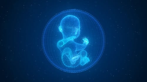 Animated Holographic Fetus Medical Science Visualization