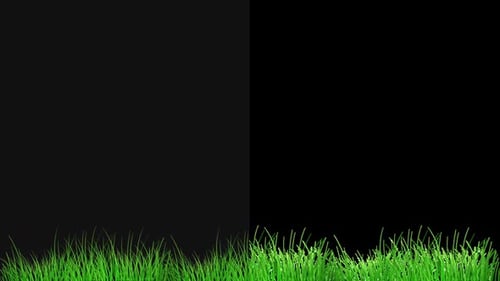 Animated Green Grass Growing with Alpha Channel