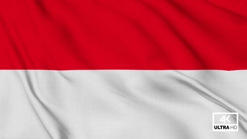 Waving Red and White Flag Background Animation