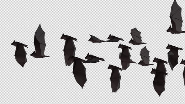 Bats Flying Side View Transparent Background V.5, Backgrounds Motion ...