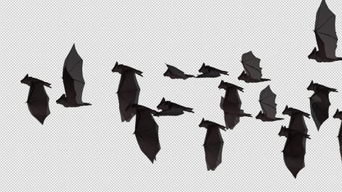 Bats Flying Side View Transparent Background V.5