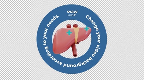 3d Animation Healty Liver - Transparent Background Loop