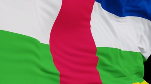 Waving Central African Republic Flag Alpha Channel