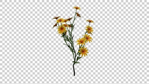 Animated Yellow Flowers Plant with Alpha Channel