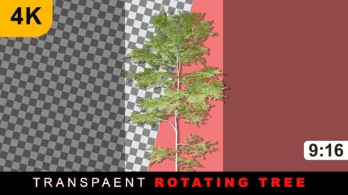 Animated Swaying Green Tree Loop