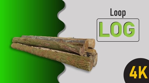 3D Render Log 360 Rotating Loop Footage
