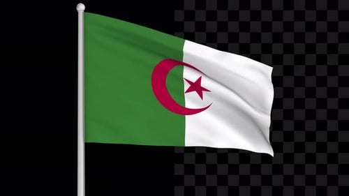 Looping Waving Flag of Algeria