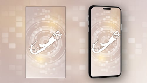 Bermuda Map Outline Reveal Animation