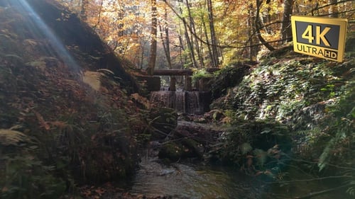 stream in nature