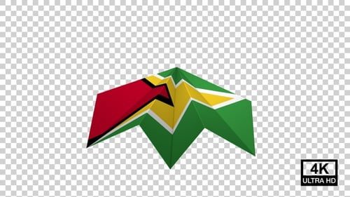 Avion en papier du drapeau de la Guyane