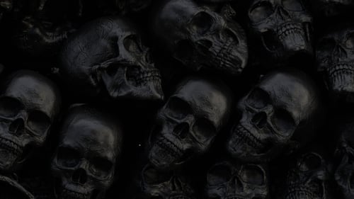 3D Animation of Skull Collection | Alpha Channel