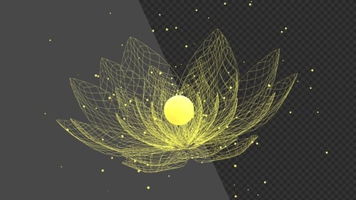 3D Animation of Lotus lily flower | Alpha Channel