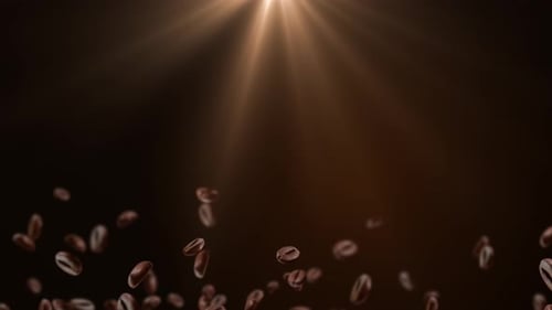 Coffee Beans splashing on black loop background. Heap of black coffee beans Loop Animation