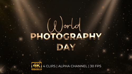 World Photography Day Animated Metallic Gold Text