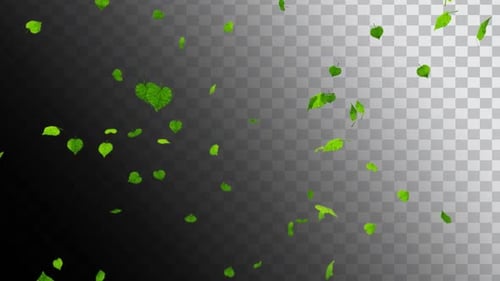3D tree leaf fall, green leaves falling from top to bottom, high quality alpha