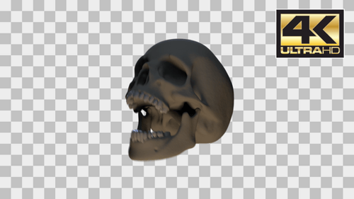 Animated 3D Skull With Moving Jaw Loop