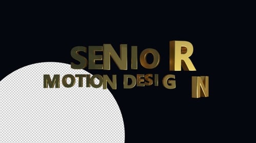Diseñador de movimiento sénior