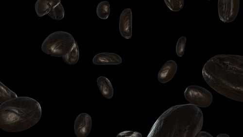 Falling Roasted Coffee Beans Seamless Loop Animation