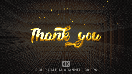 Elegant Metallic 'Thank You' Text Reveal with Fluid Effect