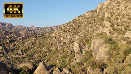 Vulkangestein und Olivenbäume