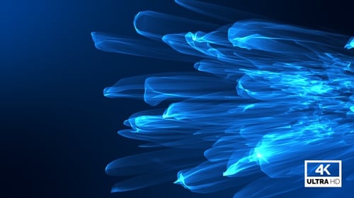 Blue Color Abstract Flower Blooming Loop V1