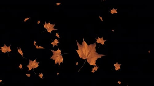 Hojas de otoño cayendo en 3D realista. Hojas doradas de arce y roble.