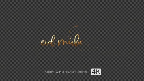 Eid Mubarak Golden Metallic Text Reveal Animation
