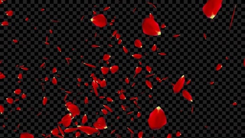 Rose Petals Explosion Alpha V4