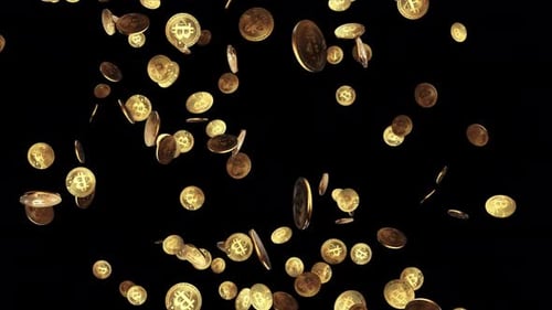 Gold bitcoins fall slow motion on pile Green Screen Loop Animation Background.