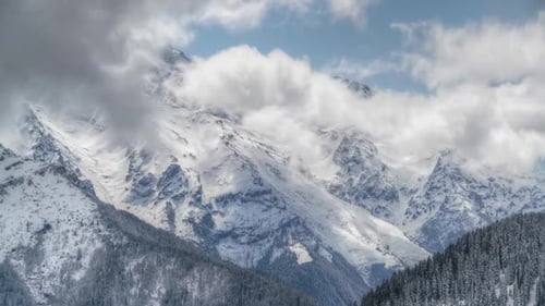 8K High Snowy Mountain Peak Behind the Forest