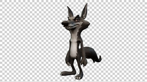 Coyote Cartoon Idle Animation Angle View