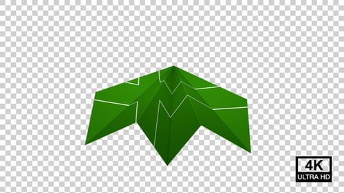 Paper Airplane Of Ladonia Flag