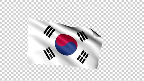 Laço da Bandeira do Sul da Coreia