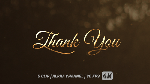 Elegant Script Thank You Text Reveal Animation