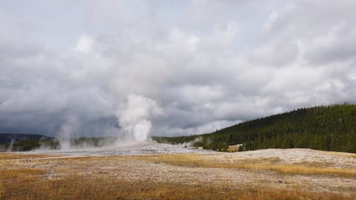 An einem bewölkten Tag steigen Geysire und Dampf im Yellowstone-Nationalpark auf