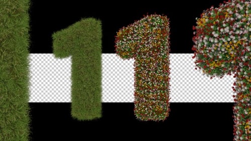 3d Number Formation Animation With Plant