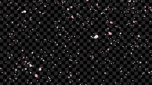 Sakura-Blütenblätter