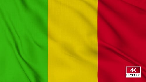 Mali National Flag Waving with Realistic Fabric Texture