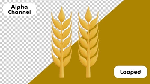 3D Animation of Wheat Ears - Agricultural | Alpha Channel