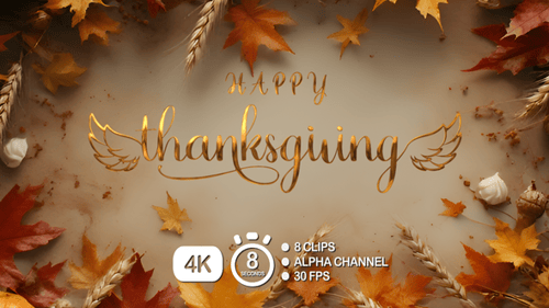 Happy Thanksgiving Text Animation