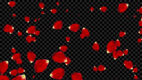 Flying Rose Petals Alpha Loop V6