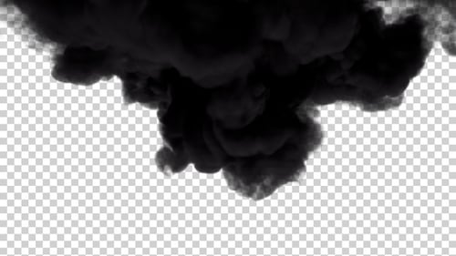 Abstract Black Smoke Ink Transition Reveal
