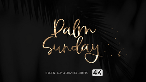 Elegant Palm Sunday Text Reveal with Glitter Animation