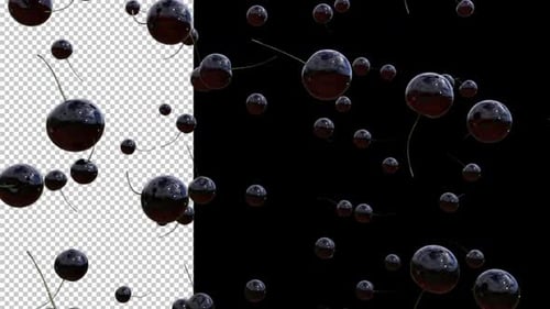 Cherry Loop auf Alpha