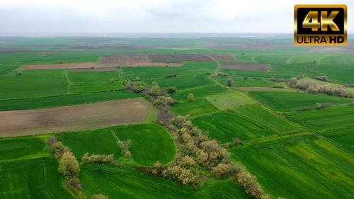 Aerial View of Rural Farmland with Green Fields