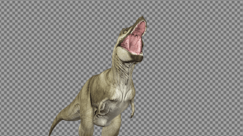 Dinosaur Walk And Roar