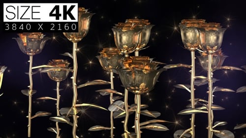 Goldene Rosen 01