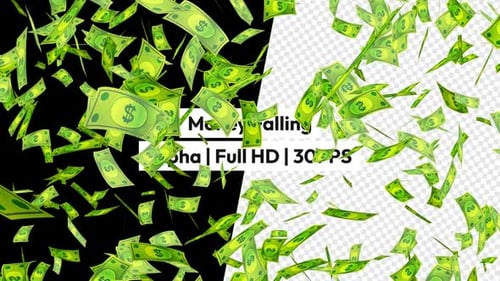 Falling Dollar Bills Alpha Channel Overlay Animation
