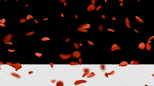 Pétales de rose rouges tombants avec canal alpha transparent - Animation 3D réaliste 4K